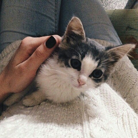 Полина Сухих