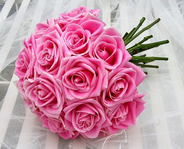 Елена Панченко