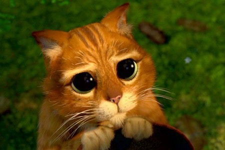 Інна Гаманюк