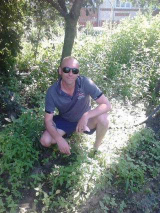 Александр Корниенко