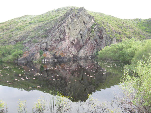 Галина Владимирова