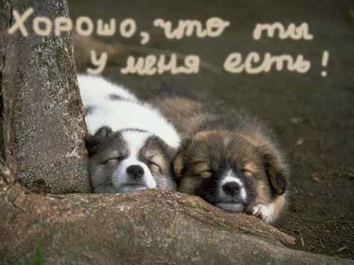 Нурлан Ералинов