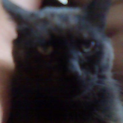 Юрий Ильчук