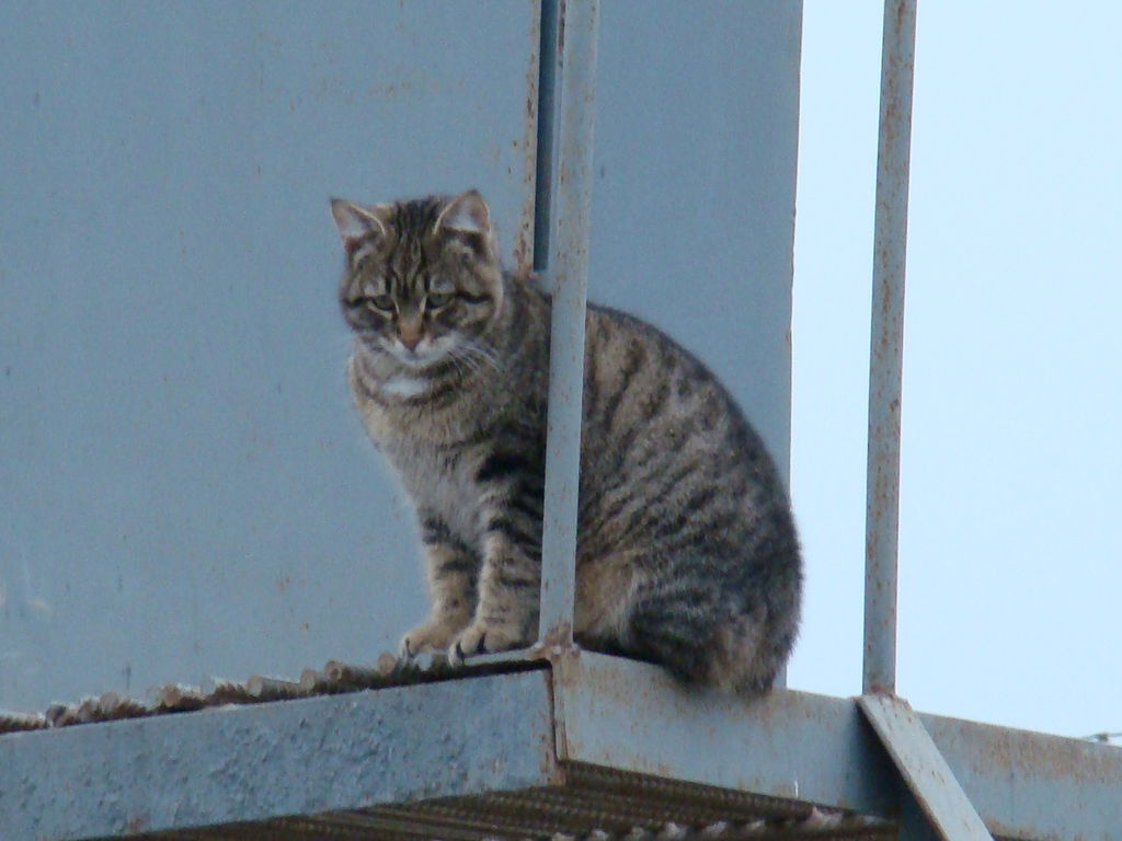 Виталий Баранов