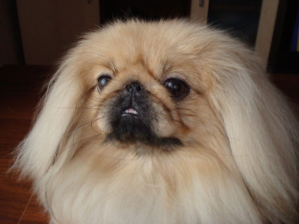 Ромка Ромков