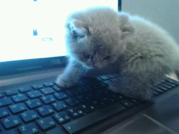 Ольга Савенкова