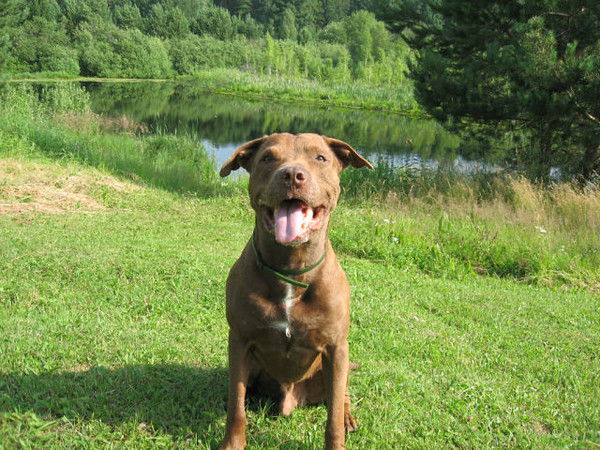 Константин Нагорняк