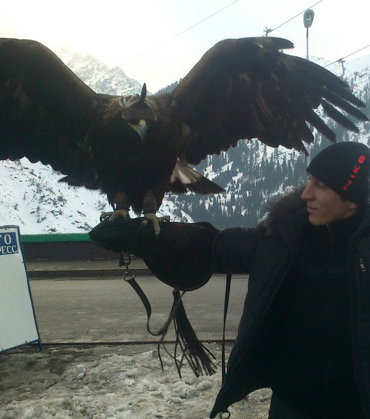 Денис Косяков