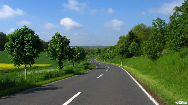 Кадрия Гурьева