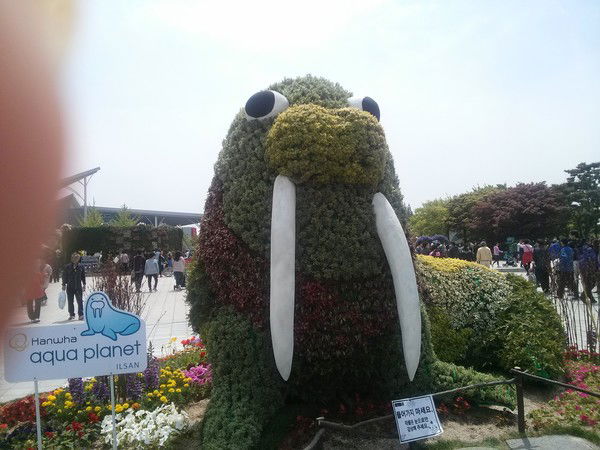 Мэриана Цой