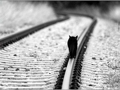 Игорь Тулин