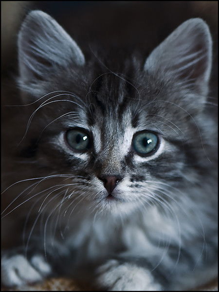 Наталья Попова