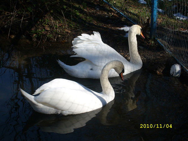 Татьяна Иващенко