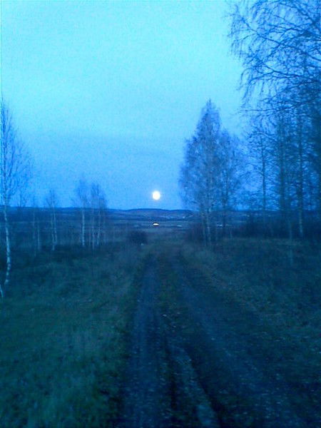 Владислав Гайнанов