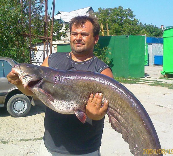 Ендрьюк Шишкин