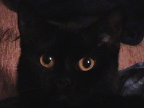 Сергей Демидов