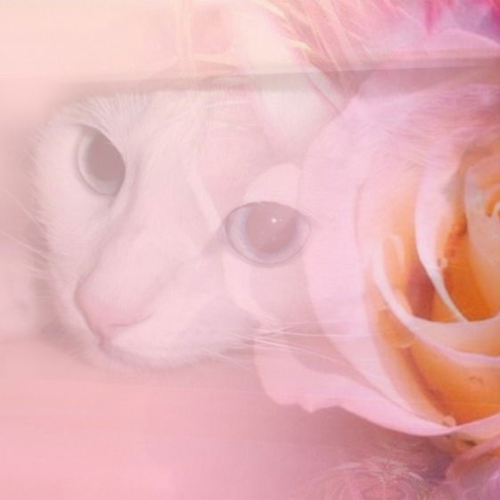 Татьяна Петрова (Погорелова)