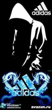 Андрей Павлов