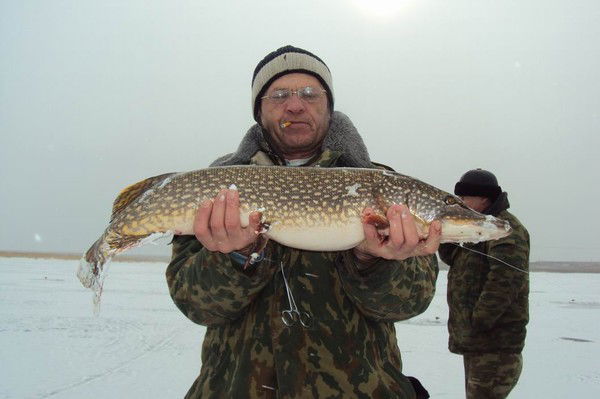 Сергей Кучер