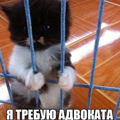 Гульназира Газизова