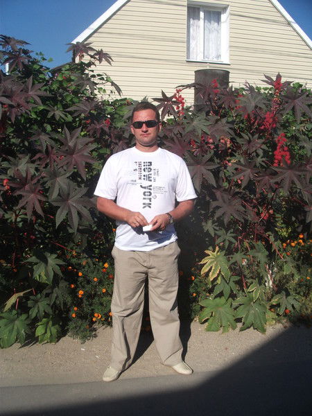 Андрей Вербицкий