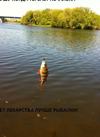 Андрей Ревенко