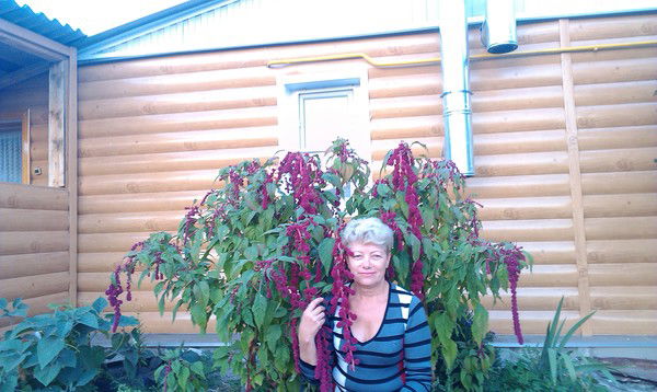 Татьяна Пундикова