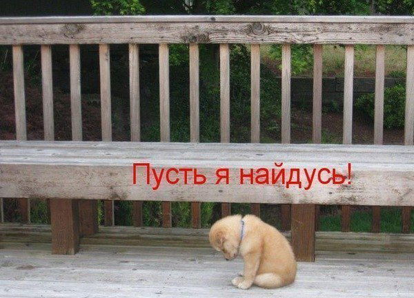 Айдар Миндаров