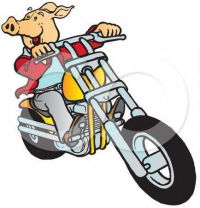 Николай Рукин