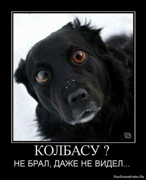 Андрей Гросс