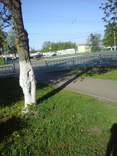 Павел Раков