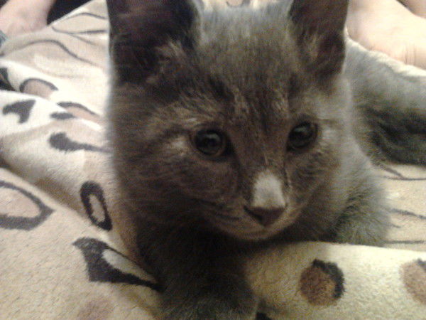 Иван Мацура