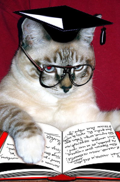 Азамат Рысбеков