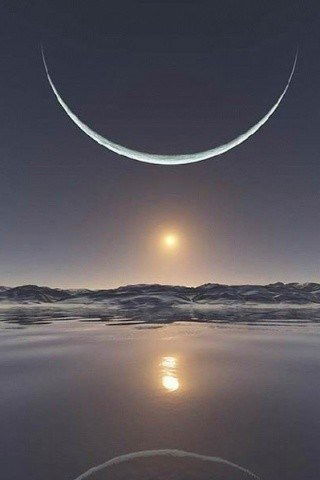 Светлана Юрлова