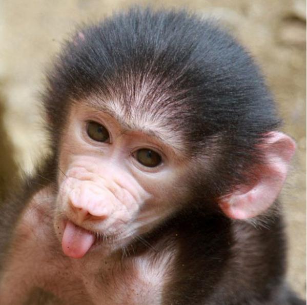 Made In Russia (Alex)