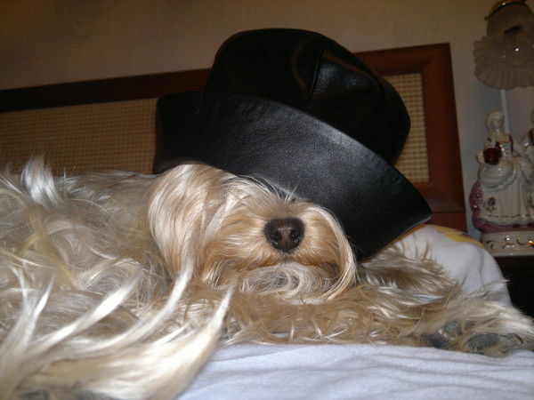 Наташа Вырина