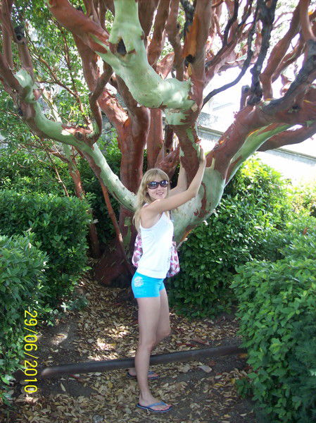 Анна Верпета