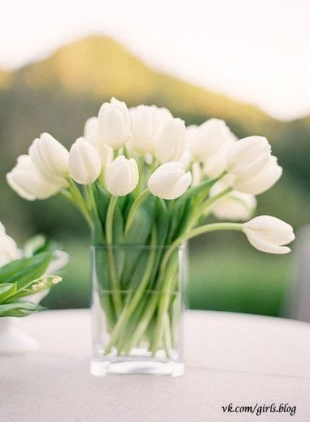 Шегебаева Шынар