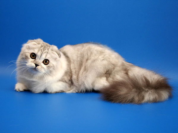 Неизвестно Неизвестно