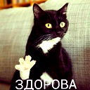 Иван Бочаров
