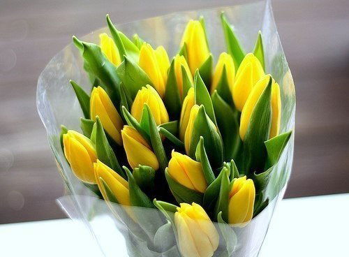 Ляззат Култаева