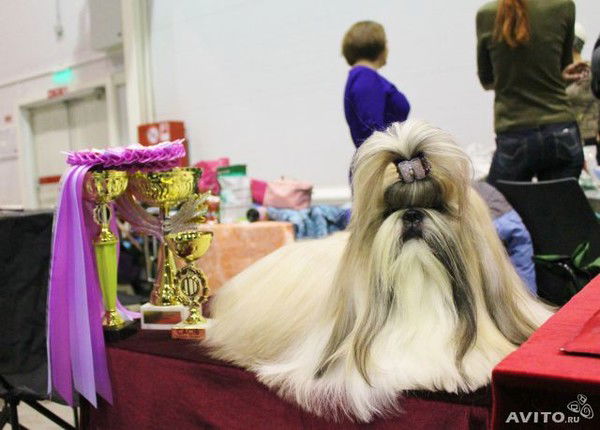 Алина Шарафутдинова