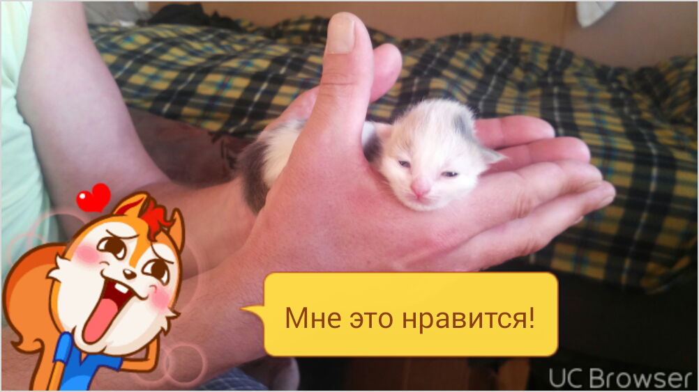 Владислав Петренко