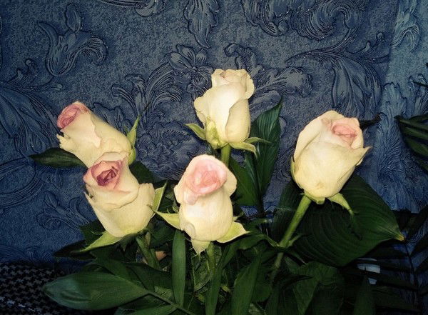 Солнечный Лучик