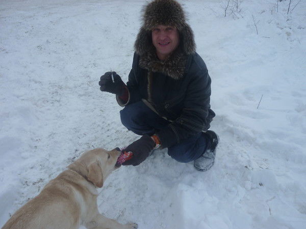 Алексей Теплов