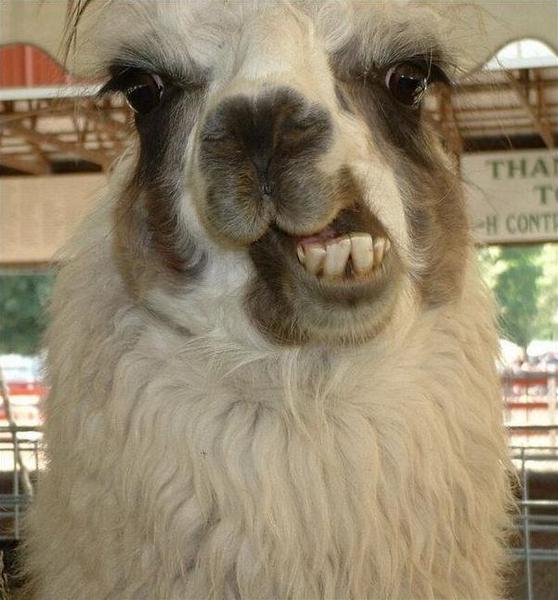 Константин Муратов