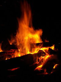 Мария Чупрова