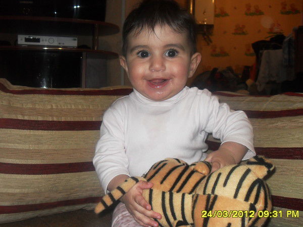 Шели Керими