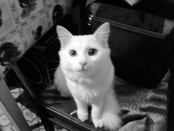 !!! Евгений !!!