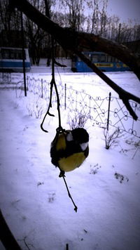 Евгений Мирошниченко